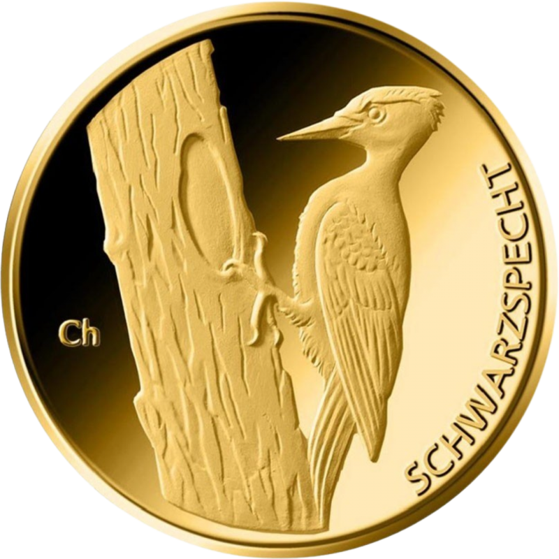 1 8 Oz Gold 20 Euro Schwarzspecht 2021 Heimische V gel 1-8-oz-gold-20-euro-schwarzspecht-2021-heimische-v-gel